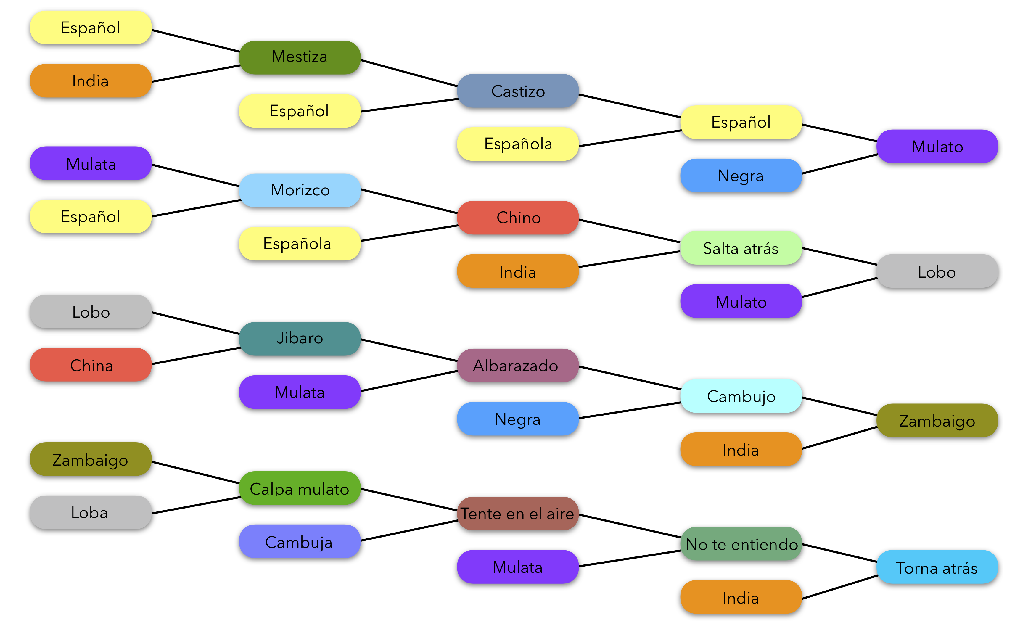 casta en la Nueva Espana
